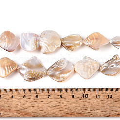 Natural Freshwater Shell Beads Strands&nbsp;BSHE-T014-39
