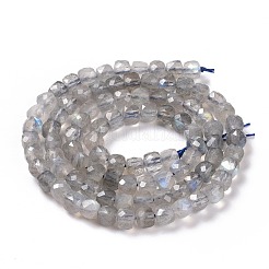 Natural Labradorite Beads Strands&nbsp;G-D0003-B10