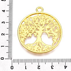 Tibetan Style Alloy Pendant&nbsp;TIBE-H142-11G