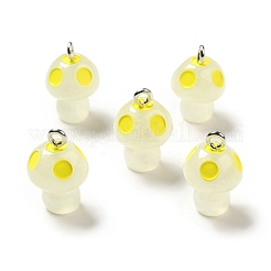 Spray Painted Luminous Resin Pendants&nbsp;RESI-A017-05H