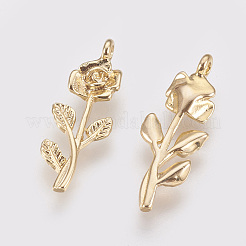 Brass Pendants&nbsp;X-KK-T020-117G