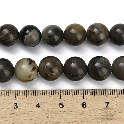 Natural Volcanic Agate Beads Strands&nbsp;G-G305-A01-10mm