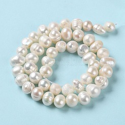 Natural Cultured Freshwater Pearl Beads Strands&nbsp;PEAR-E018-53