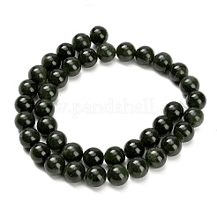 Natural Canadian Jade Beads Strands&nbsp;G-H335-B07-10mm