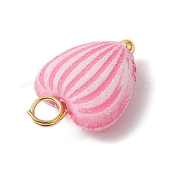 Craft Style Acrylic Pendants&nbsp;PALLOY-JF04253-01