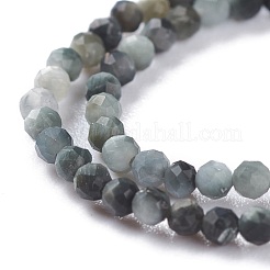 Natural Eagle Eye Stone Beads Strands&nbsp;G-A026-A02-2mm