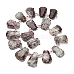 Natural Plum Blossom Tourmaline Beads Strands&nbsp;G-H078-A01-02