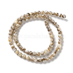 Natural Freshwater Shell Beads Strands&nbsp;SSHEL-B002-15