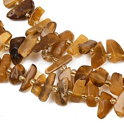 Natural Amber Beads Strands&nbsp;G-P619-A02-01