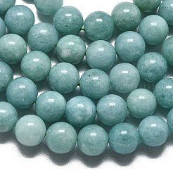 Natural Malaysia Jade Beads Strands&nbsp;G-L645-A01-10mm-25