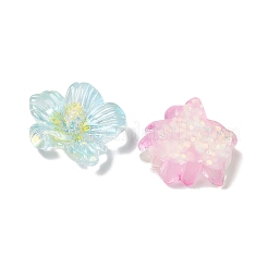 Transparent Resin Cabochons&nbsp;RE-CBA1274-02