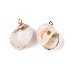 Natural Sea Shell Pendants&nbsp;SSHEL-N038-48