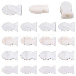 50Pcs Natural Freshwater Shell Beads&nbsp;SHEL-SC0002-03