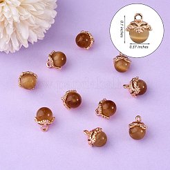 10Pcs Gemstone Charm Pendant Crystal Quartz Healing Natural Stone Pendants Buckle for Jewelry Necklace Earring Making Cra&nbsp;JX599J