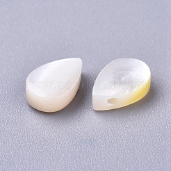 Natural Sea Shell Beads&nbsp;SSHEL-R038-20