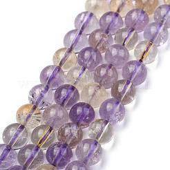 Natural Ametrine Beads Strands&nbsp;G-G462-8mm-06