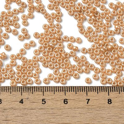 Baking Paint Glass Seed Beads&nbsp;SEED-P006-03A-24-1