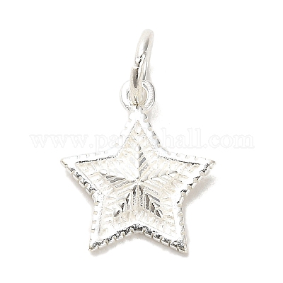 Sterling Silver Charms&nbsp;STER-E070-03H-1