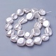 Shell Pearl Beads Strands&nbsp;BSHE-P030-02E-1