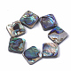 Abalone Shell/Paua Shell Beads&nbsp;SSHEL-T008-15-1