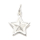 Sterling Silver Charms&nbsp;STER-E070-03H-1