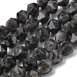 Natural Larvikite Beads Strands&nbsp;G-Z119-A32-03