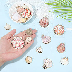32Pcs 8 Styles Electroplated Natural Mixed Shell Pendants&nbsp;SSHEL-SC0001-62D