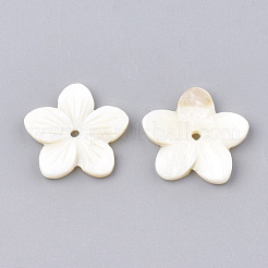 Freshwater Shell Beads&nbsp;SHEL-S274-09