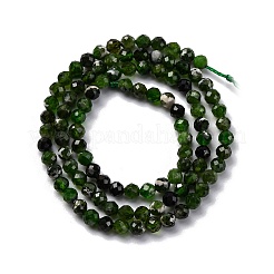 Natural Diopside Beads Strands&nbsp;G-G188-B14-02