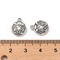 Tibetan Style Alloy Charmss&nbsp;FIND-C043-050AS