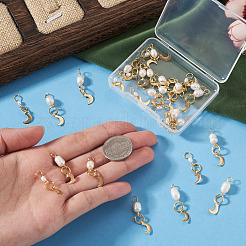 30Pcs 3 Styles Natural Cultured Freshwater Pearl & 201 Stainless Steel Moon Pendants&nbsp;PALLOY-TAC0317