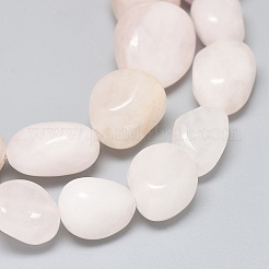 Natural Rose Quartz Beads Strands&nbsp;G-F637-26