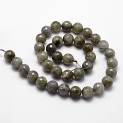 Natural Labradorite Beads Strands&nbsp;G-G736-04-10mm