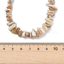 Natural Freshwater Shell Chip Beaded Necklaces&nbsp;NJEW-JN06271