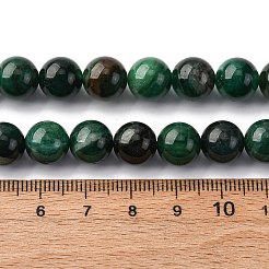 Natural Fuchsite Beads Strands&nbsp;G-K393-A02-10mm
