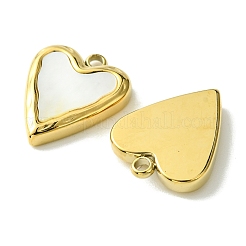 Ion Plating(IP) 304 Stainless Steel Pave Shell Pendants&nbsp;FIND-Z028-28G