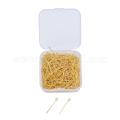 Iron Eye Pin&nbsp;IFIN-YW0001-10G