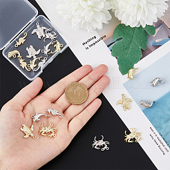 20Pcs 10 Style Rack Plating Alloy Charms&nbsp;FIND-FH0007-48