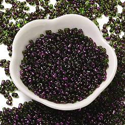 Spray Painted Glass Seed Beads&nbsp;SEED-F005-07A-03