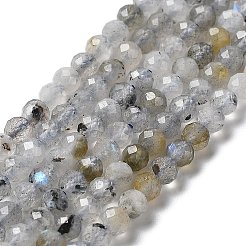 Natural Labradorite Beads Strands&nbsp;G-I341-11