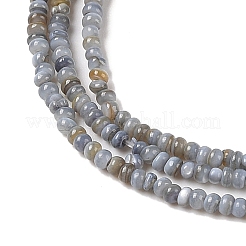 Natural Freshwater Shell Beads Strands&nbsp;X-SHEL-P017-01A-13