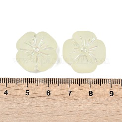 Frosted Transparent Acrylic Beads&nbsp;X1-OACR-P029-19B-03