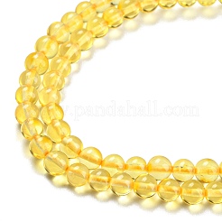 Natural Amber Beads Strands&nbsp;G-L584-02-01