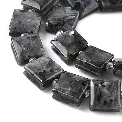 Natural Labradorite Beads Strands&nbsp;G-F802-B03-01