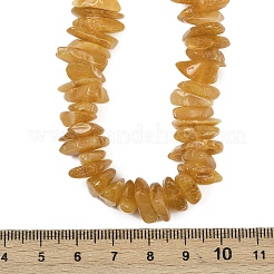 Natural Amber Chip Beaded Necklaces&nbsp;NJEW-L466-03C