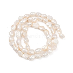 Natural Cultured Freshwater Pearl Beads Strands&nbsp;PEAR-P064-20H-01A