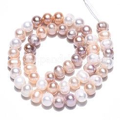 Natural Cultured Freshwater Pearl Beads Strands&nbsp;PEAR-N013-06-A-03