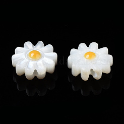 Natural Freshwater Shell Beads&nbsp;X-SHEL-N003-20B-01