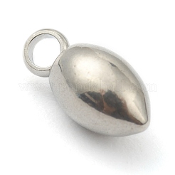 Tarnish Resistant 201 Stainless Steel Charms&nbsp;STAS-G245-11