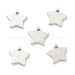 Tarnish Resistant 304 Stainless Steel Pendants&nbsp;STAS-K216-46P